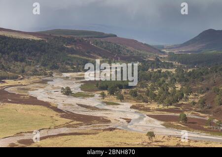 Glenfeshie superiore nel tardo inverno, Cairngorms National Park, Scozia. Maggio 2013. Foto Stock