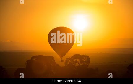 Mongolfiera che galleggia all'alba sulla Riserva Nazionale Masai Mara, Kenya, 2012 agosto Foto Stock