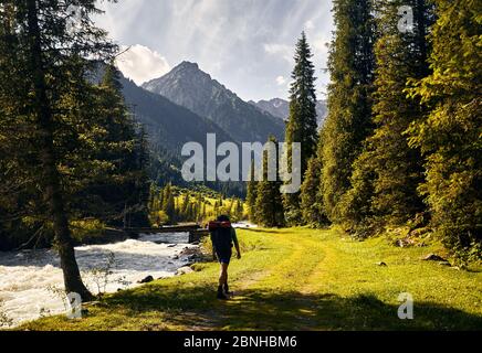 Turista con zaino grande sta camminando lungo la strada nella foresta di valle di montagna nel parco nazionale di Karakol, Kirghizistan Foto Stock