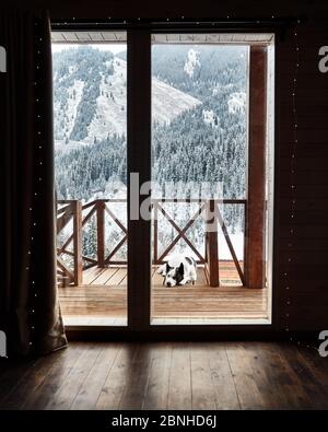 In inverno, il cane carino dormiva in una casa di legno nella località di montagna Foto Stock