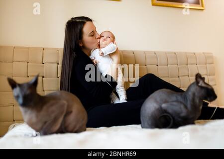 Due gatti di Sphynx si siedono e proteggono la madre con il bambino Foto Stock