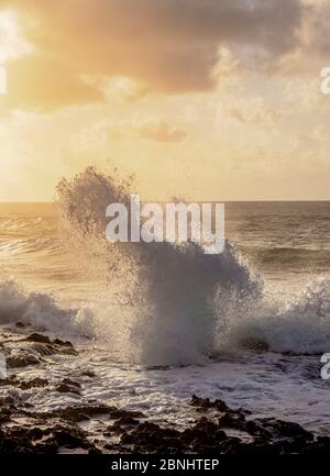 The Blowhole all'alba, East End, Grand Cayman, Isole Cayman Foto Stock