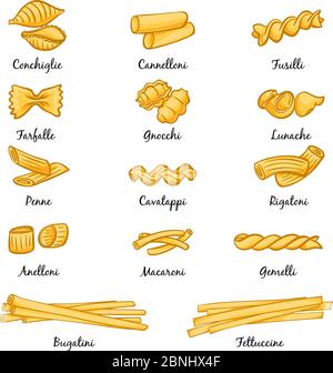 Diversi tipi di pasta. Cucina tradizionale italiana. Immagini in stile cartoon Illustrazione Vettoriale