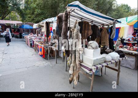 Lupo e altre pelli di pelliccia animale in vendita al mercato del fine settimana 'Vernissage' nella città di Yerevan, Armenia Foto Stock