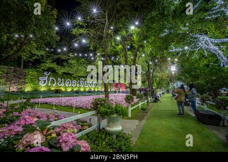 Fiori bellissimi e colorati in Chiang Rai Fiore Festival di notte, Chiang Rai, Thailandia, Sud-est asiatico, Asia Foto Stock