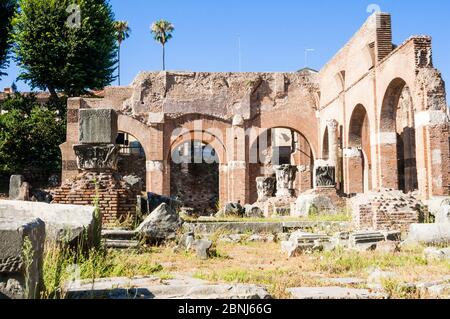 Basilica di Giulia, Foro Romano, Sito Patrimonio dell'Umanità dell'UNESCO, Roma, Lazio, Italia, Europa Foto Stock