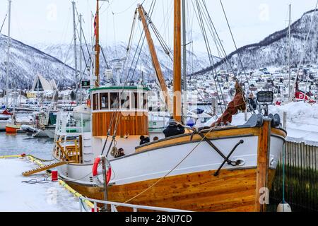 Porto di piccole imbarcazioni, fiordo, Cattedrale artica, neve profonda in inverno, Tromso, Troms og Finnmark, Circolo polare Artico, Norvegia settentrionale, Scandinavia, Europa Foto Stock