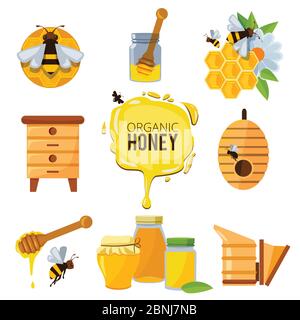 Colorful immagini di miele bumble e diversi altri simboli di apicoltura Illustrazione Vettoriale