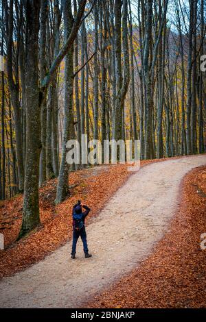 Parco Nazionale delle foreste Casentinesi, Badia Prataglia, Toscana, Italia, Europa. Una persona sta scattando le foto nel legno. Foto Stock