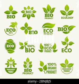 Eco logo ed etichette biologiche con illustrazioni di foglie Illustrazione Vettoriale