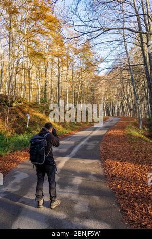 Parco Nazionale delle foreste Casentinesi, Badia Prataglia, Toscana, Italia, Europa. Una persona sta scattando le foto nel legno. Foto Stock