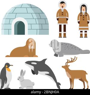 Animali polari, artici e residenti del nord vicino a casa di ghiaccio eskimo Illustrazione Vettoriale