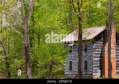 Tazewell, Tennessee, USA - 28 aprile 2020: Anche se imbarcata dall'interno, questa fattoria è stata ben curata e può essere vista dall'aleo Foto Stock