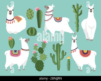 Illustrazioni di divertente lama. Animale vettoriale in stile piatto Illustrazione Vettoriale