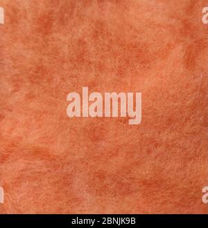 Lana di cardatura di albicocche. Lana per feltrare texture Foto Stock