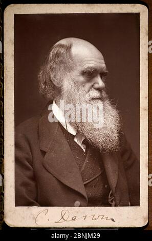 Ritratto fotografico di tipo Woodbury di Charles Darwin con la sua firma, preso intorno al 1874. Foto Stock