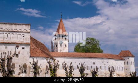 Prejmer chiesa fortificata di ossone, Prejmer, Romania, Foto Stock