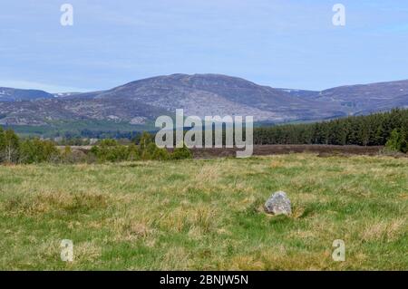 Creag Mhor e la pista sul lato ovest della montagna scozzese Corbett Carn an Fhreiceadain da Glen Tromie, Cairngorms National Park, Scozia. Foto Stock