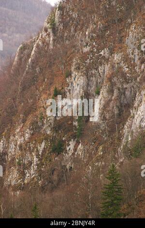 Contea di Harghita, Romania. Ripido pendio di montagna nei Carpazi. Cheile Varghisului (gole di Varghis). Foto Stock