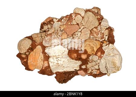 Leesburg, conglomerato calcareo in primo piano con le clast, Frederick County, Maryland, USA, giugno. Foto Stock