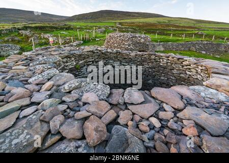 Caher Conor, capanne a fahan, Mount Eagle, Slea Head Drive, Dingle Peninsula, County Kerry, Irlanda, Europa. Settembre 2015. Foto Stock