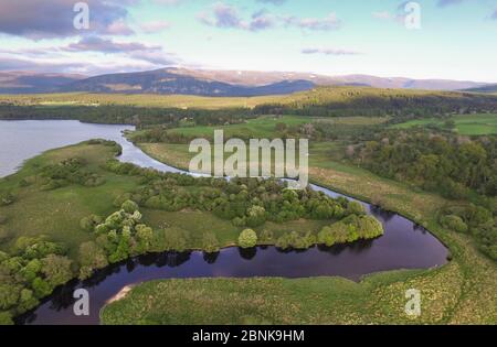 Veduta aerea Insh Marshes Riserva Naturale Nazionale, Cairngorms National Park, Scotland, Regno Unito, maggio 2016. Foto Stock