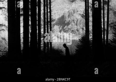 Una foresta spettrale e inquietante. Con un uomo con cappuccio e silhouette contro gli alberi. Con un montaggio vintage, grunge e testurizzato Foto Stock