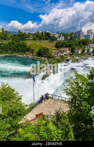 Rheinfall (Cascate del Reno) in Svizzera tra i cantoni Schaffhausen e Zurigo, Neuhausen am Rheinfall. Foto Stock