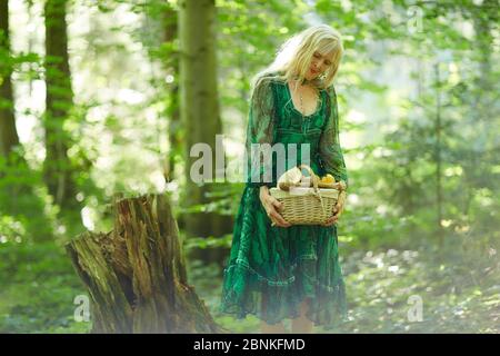 Donna in cerca di funghi nella foresta Foto Stock