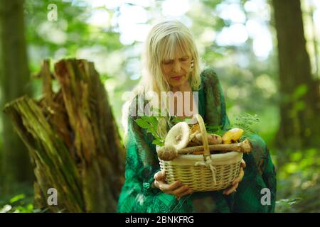 Donna in cerca di funghi nella foresta Foto Stock