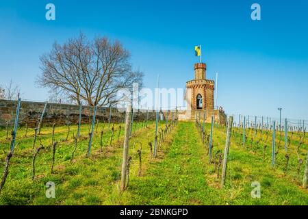 Torre della bandiera a Bad Dürkheim, edificio neogotico in pietra arenaria, sala a cupola ottagonale con finestre ad arco a punta con vetrate, scale esterne, popolarmente chiamato 'macinacaffè', Foto Stock