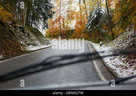 Strada, foglie, ghiaccio, neve, foresta, prospettiva del conducente, tergicristalli Foto Stock