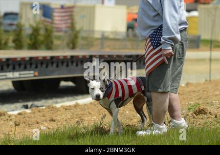 Upper Macungie, Stati Uniti. 14 maggio 2020. Un uomo e un cane che indossavano una bandiera americana camminano vicino a un gruppo di sostenitori di Trump si sono riuniti per strada da una struttura che il presidente stava girando giovedì 14 maggio 2020 a Upper Macungie. Credit: William Thomas Cain/Alamy Live News Foto Stock