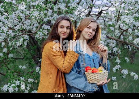 Due belle ragazze giovani stanno in piedi in un frutteto di mele. Gli alberi sono coperti da fiori bianchi e fogliame giovane. Nelle mani della ragazza un bas Foto Stock