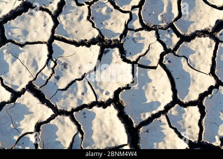 Texture. Grandi crepe sulla superficie della terra. Siccità. Problemi di ecologia. Erosione. Foto Stock