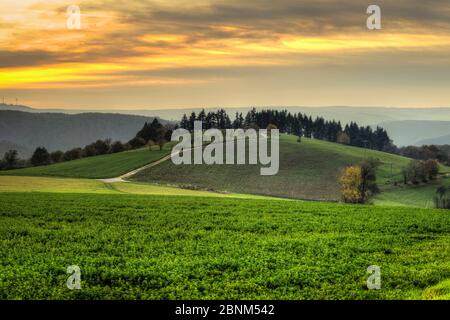 Umore serale nel parco naturale Rhein-Taunus vicino a Presberg, vista su prati e campi con una corona di alberi sulla collina, dietro di esso il sogno Wisspertal, HDR foto, Foto Stock