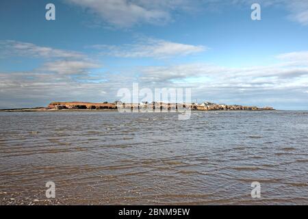 Isola di Hilbre vista dal lato est con la marea crescente - situato nella foce del fiume estuario Dee. Wirral, Regno Unito febbraio 2016. Foto Stock