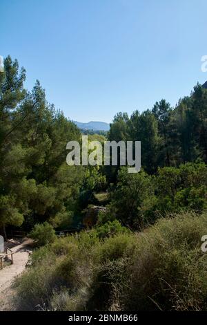 Sentiero montano tra pini con cielo blu, pini, recinzione in legno Foto Stock