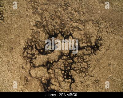 Vista aerea della coperta di altopiano bog presso la sorgente del fiume Elan, Rhayader, Wales, Regno Unito Aprile Foto Stock