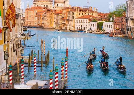 Le gondole del Canal Grande di Venezia, Italia Foto Stock