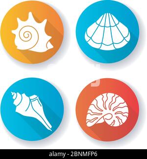 Varie conchiglie design piatto lunghe ombre glifo icone set. Collezione di conchiglie marine hobby, conchologia conchiglia, capesante, conca triton e moonshell, illustrazioni a colori RGB Illustrazione Vettoriale