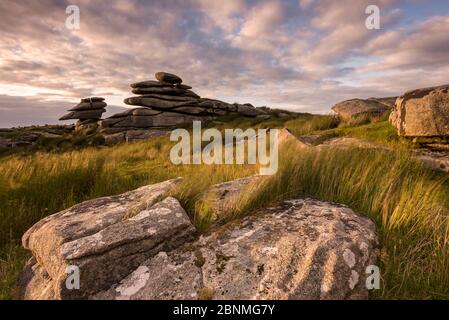Stowe's Hill in tarda serata luce, Bodmin Moor, Cornwall, Inghilterra, Regno Unito. Luglio 2015. Foto Stock