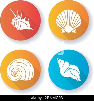 Esotico conchiglie marine design piatto, set di icone glifo a lunga ombra. Molluschi, conchologia capesante marino, conchiglia, conca di triton e silhouette di conchiglia con punte RGB illustrazione colore Illustrazione Vettoriale