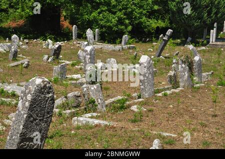 Vecchio cimitero abbandonato in Montenegro Foto Stock