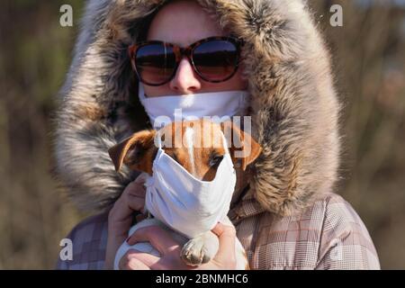 Jack Russell terrier indossare maschera bianca in cotone bocca, blurred giovane proprietario con virus maschera viso in background. Gli animali domestici non sono vulnerabili al coronavirus c Foto Stock