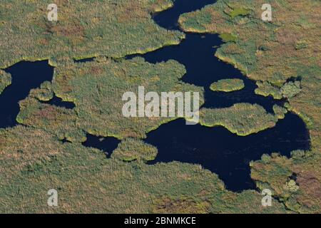 Vista aerea del delta del Danubio, la seconda più grande zona umida d'Europa e il più grande letto di canna del mondo, con isole di canna, Romania Foto Stock