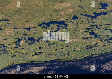 Vista aerea del delta del Danubio, la seconda più grande zona umida d'Europa e il più grande letto di canna del mondo, con isole di canna, Romania Foto Stock