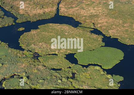 Vista aerea del delta del Danubio, la seconda più grande zona umida d'Europa e il più grande letto di canna del mondo, con isole di canna, Romania Foto Stock