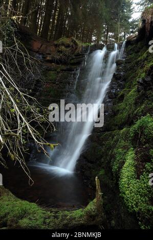 La cascata di Thrid sul Bwrefwr Nant tra il parcheggio e l'Afon Caerfanell. Foto Stock