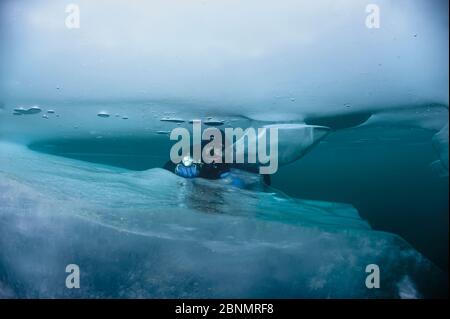 Subacqueo che esamina formazioni di ghiaccio rotte sott'acqua. Lago Baikal, Russia, Lago Baikal, Siberia, Russia. Foto Stock